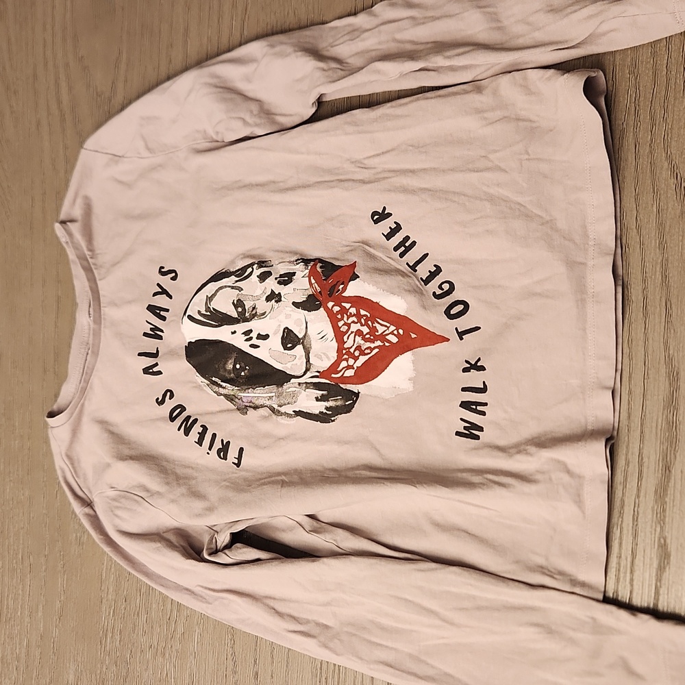 Zara girls long sleeve tee
